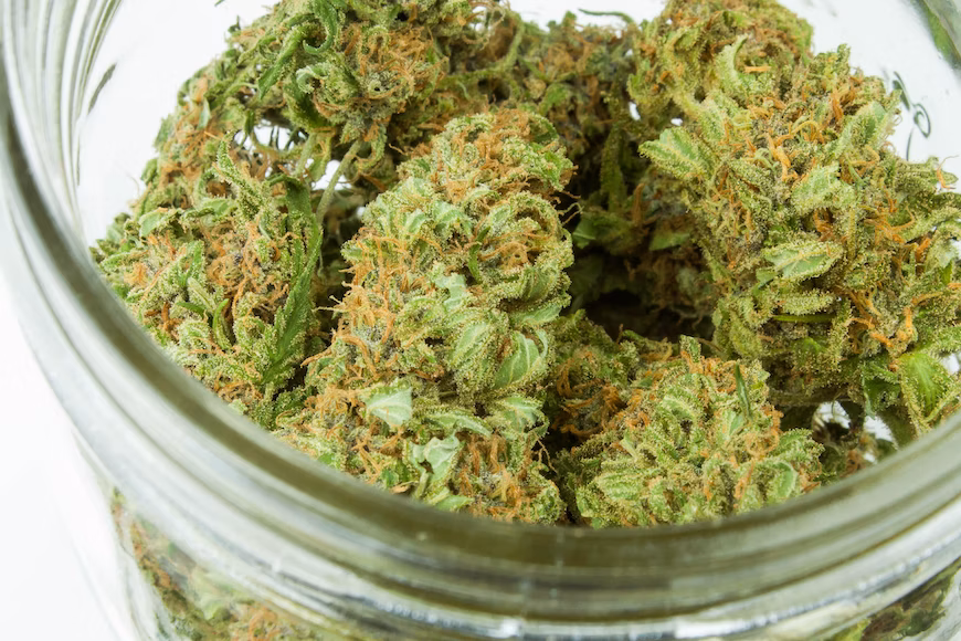 Best organic buds in Brighton from the sweetest people